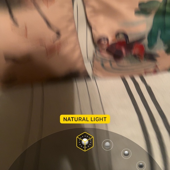 Peach Satin Mandarin Duck Accent Pillow and koi fishes on other pillow -2 pcs - Picture 2 of 2